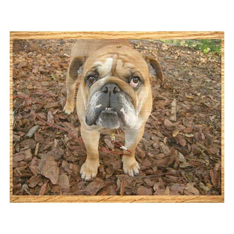 Photoprint Wood (10x8)