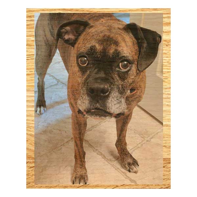 Photoprint Wood (16x20)
