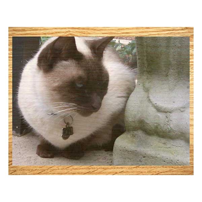 Photoprint Wood (20x16)