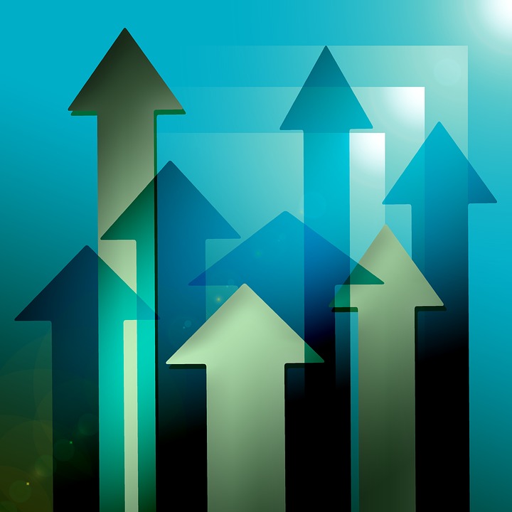 business growth