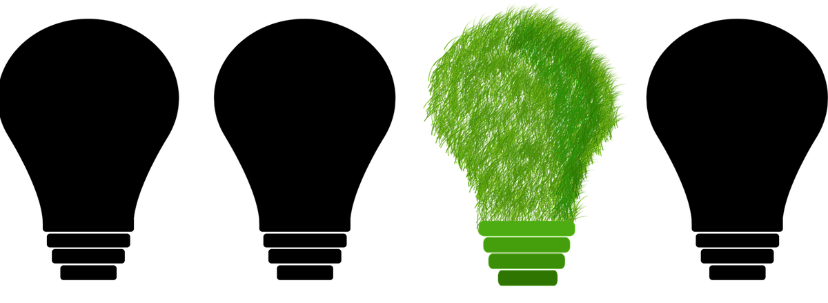 sustainability in the corporate environment