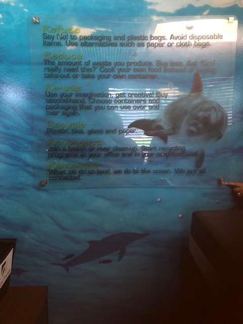 corporate interiors