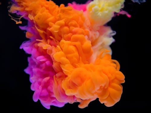 color in branding