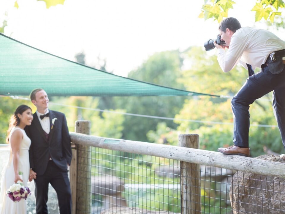 wedding photographers