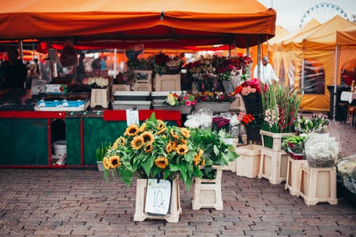 farmer’s market