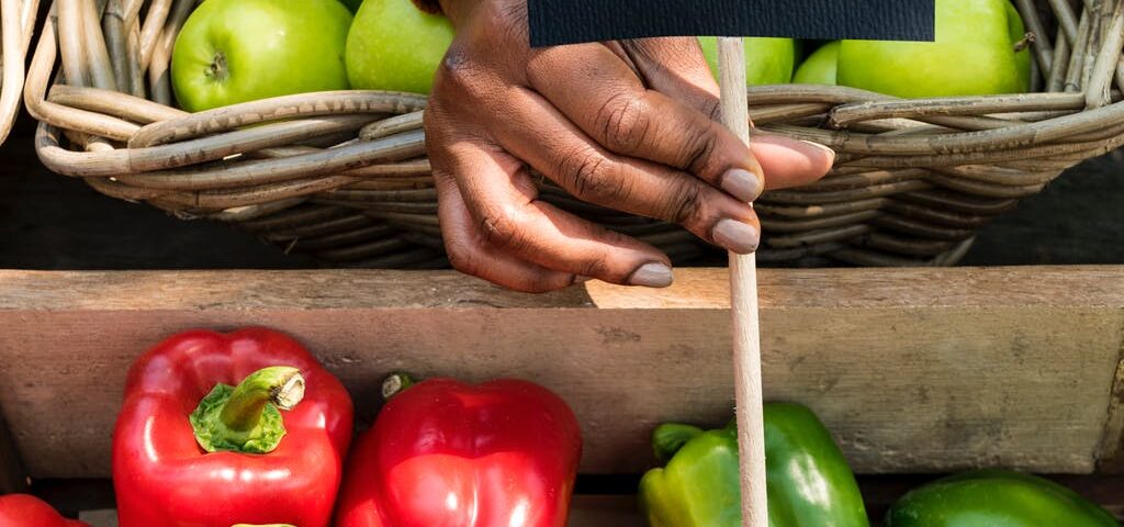 farmer’s market